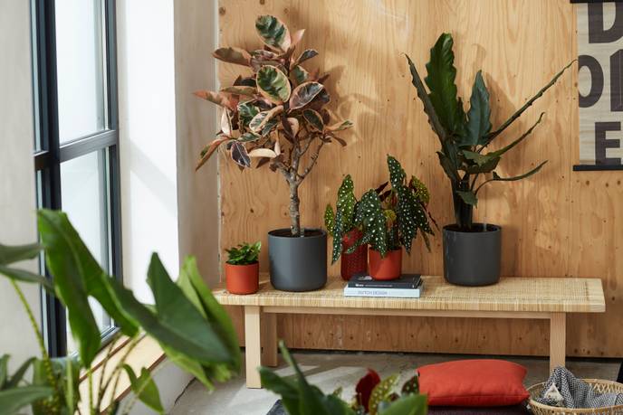 b.for soft round 22cm anthracite